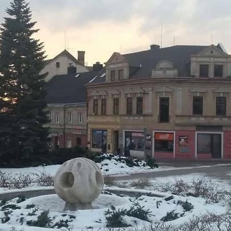 Apartmany Litvinov Centrum Bagian luar foto