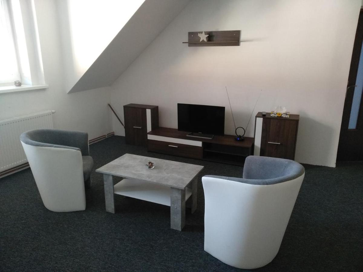 Apartmany Litvinov Centrum Bagian luar foto